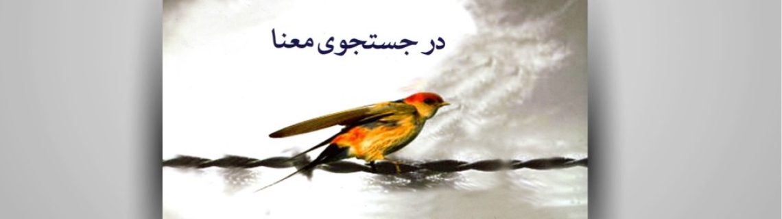 معرفی و نقد کتاب:انسان در جستجوی معنا